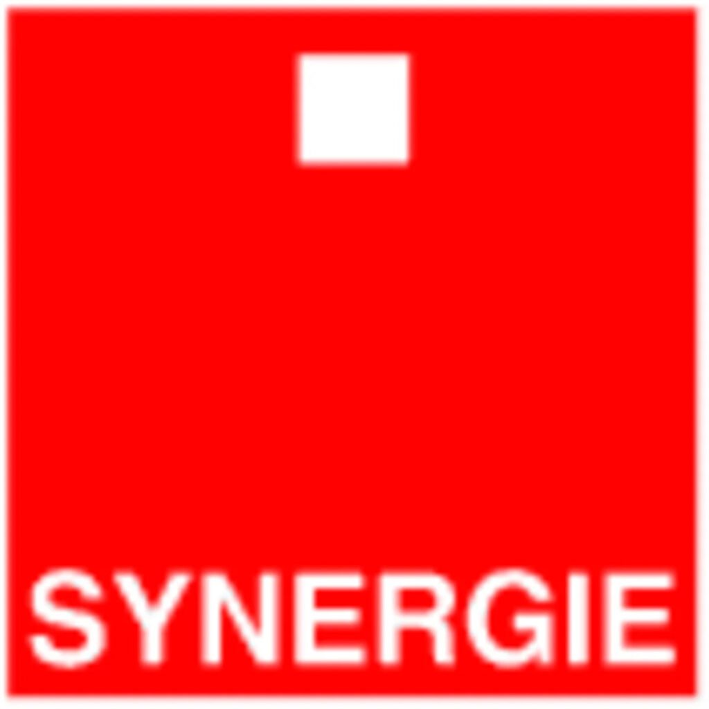 In a challenging environment, Synergie confirms the resilience of its business model and the strength of its growth strategy In a challenging environment, Synergie confirms the resilience of its business model and the strength of its growth strategy